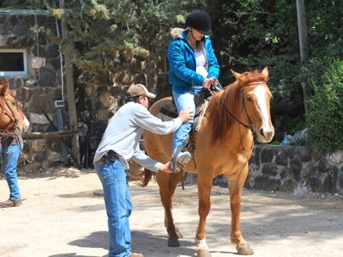 ורד הגליל- חוות סוסים